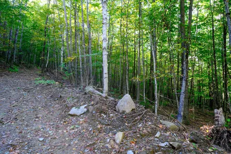 478 East Lake Road Ludlow VT 05149