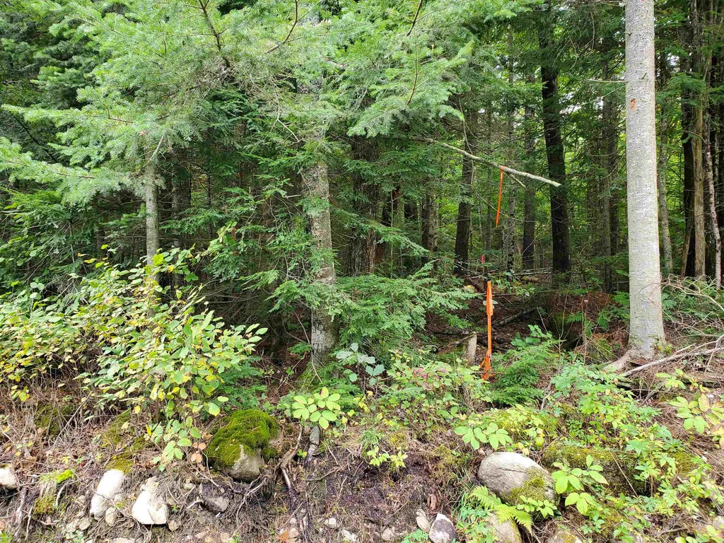 0 Grafton Turnpike Road Canaan NH 03741
