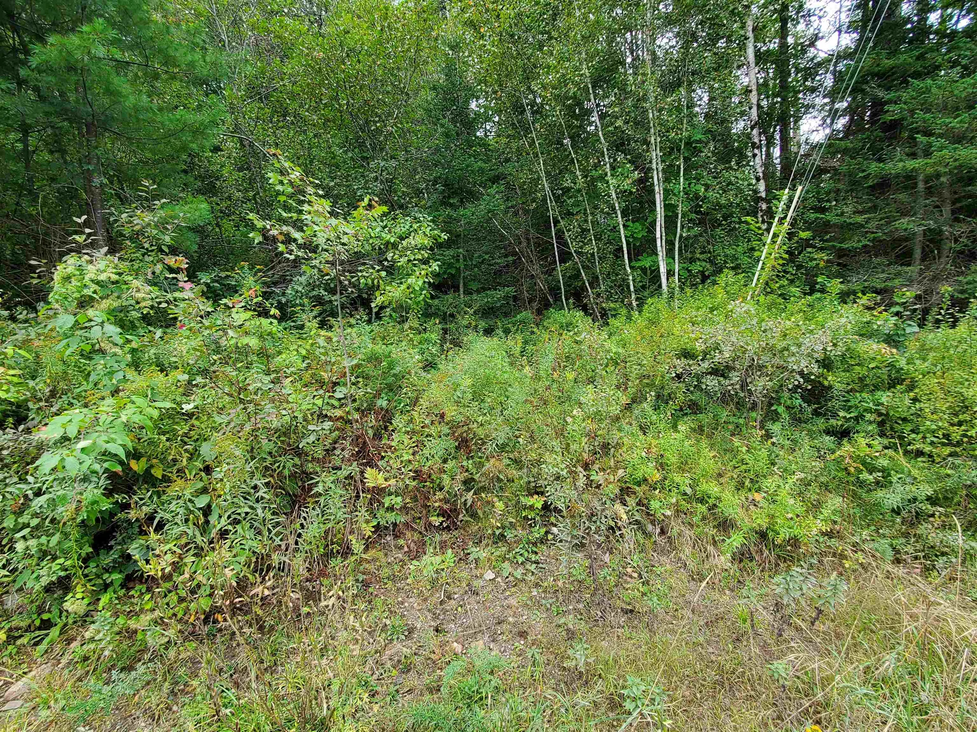 0 Grafton Turnpike Road Canaan NH 03741
