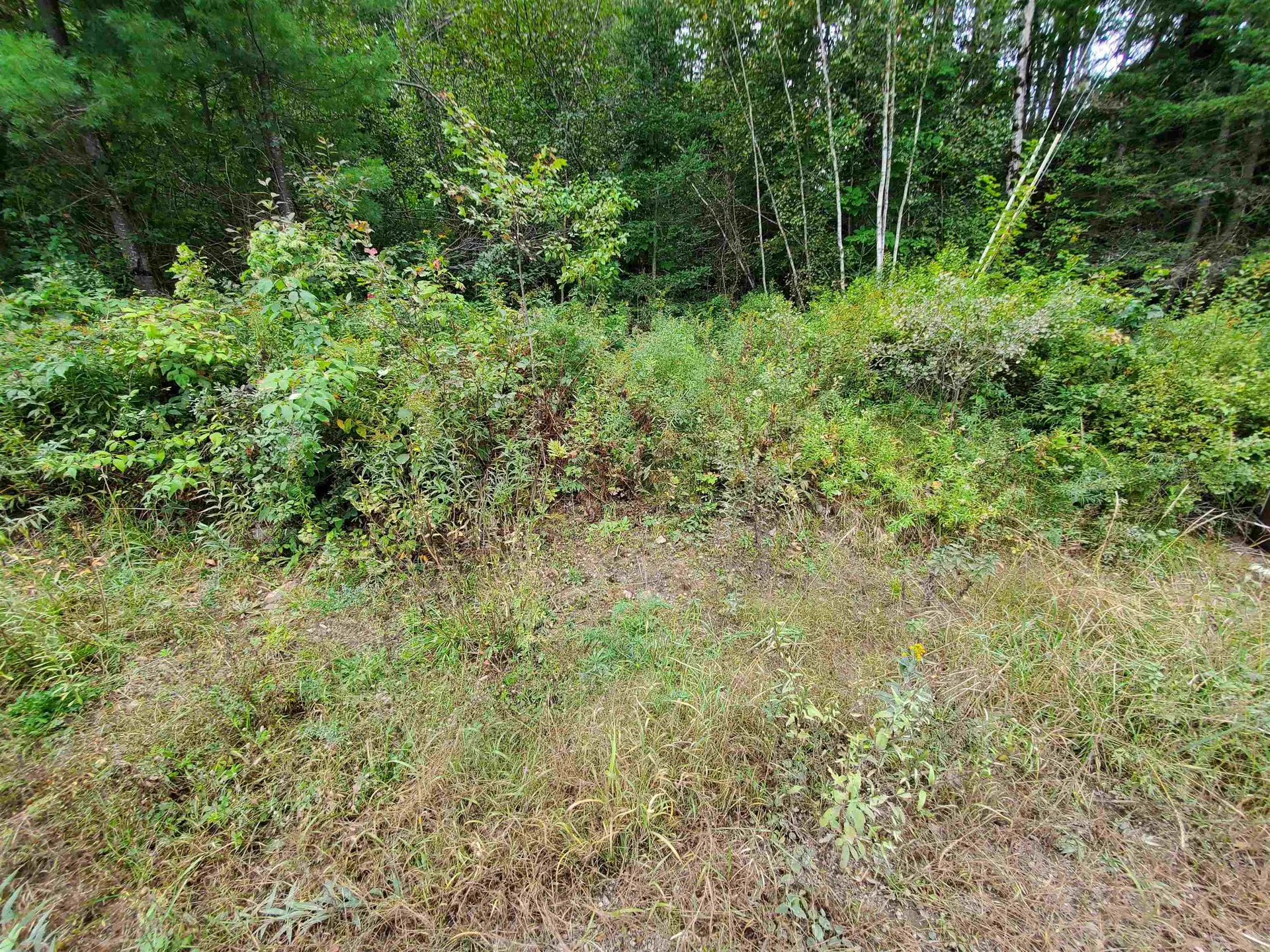 0 Grafton Turnpike Road Canaan NH 03741
