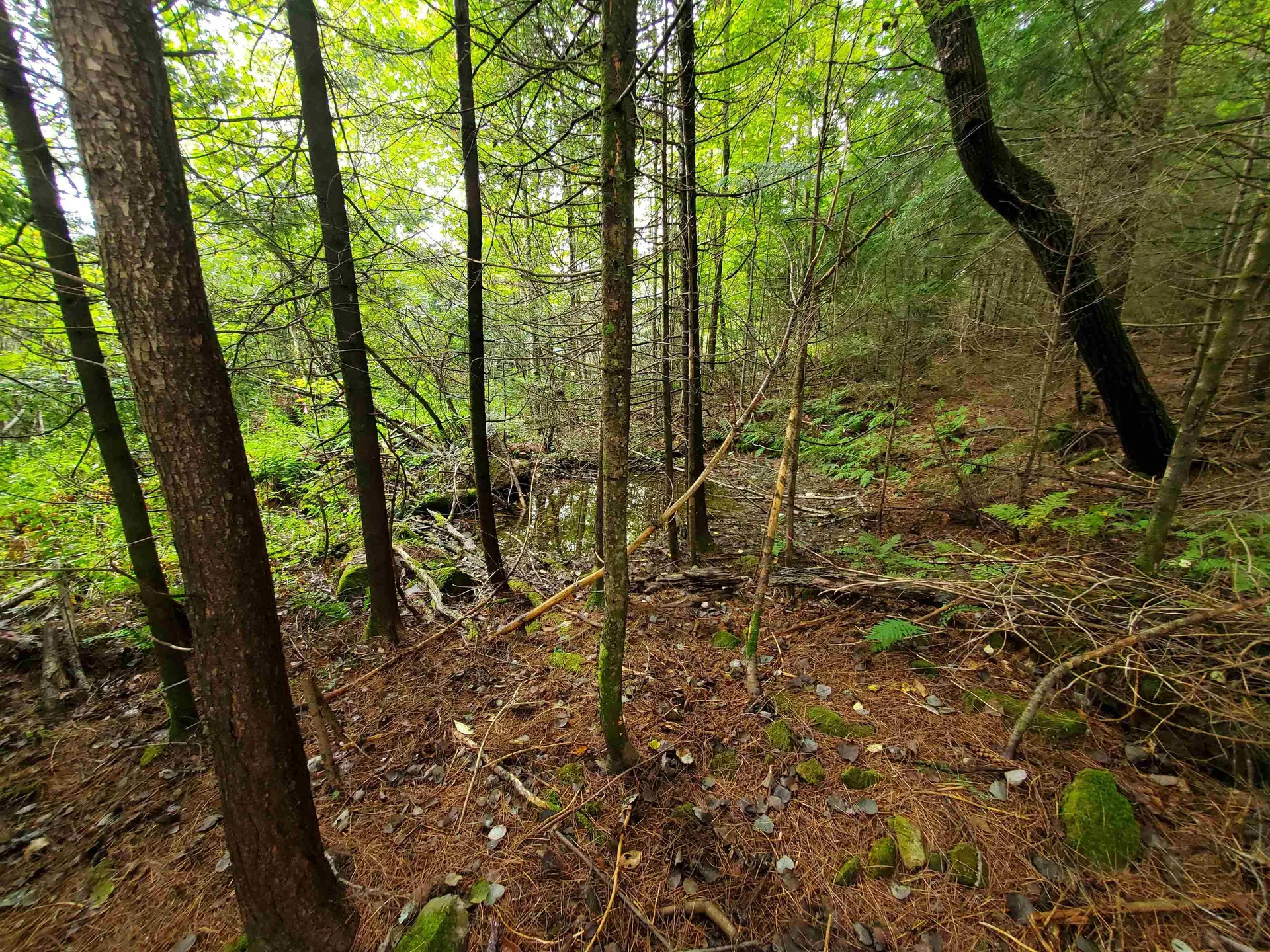 0 Grafton Turnpike Road Canaan NH 03741
