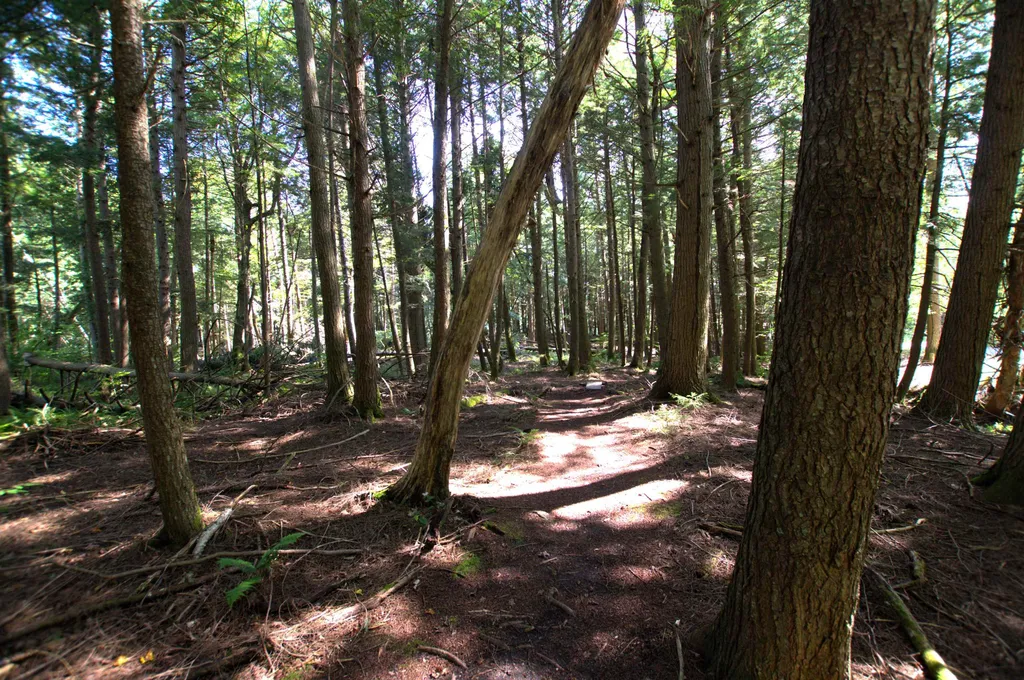 954 Butternut Hill Road Waitsfield VT 05673