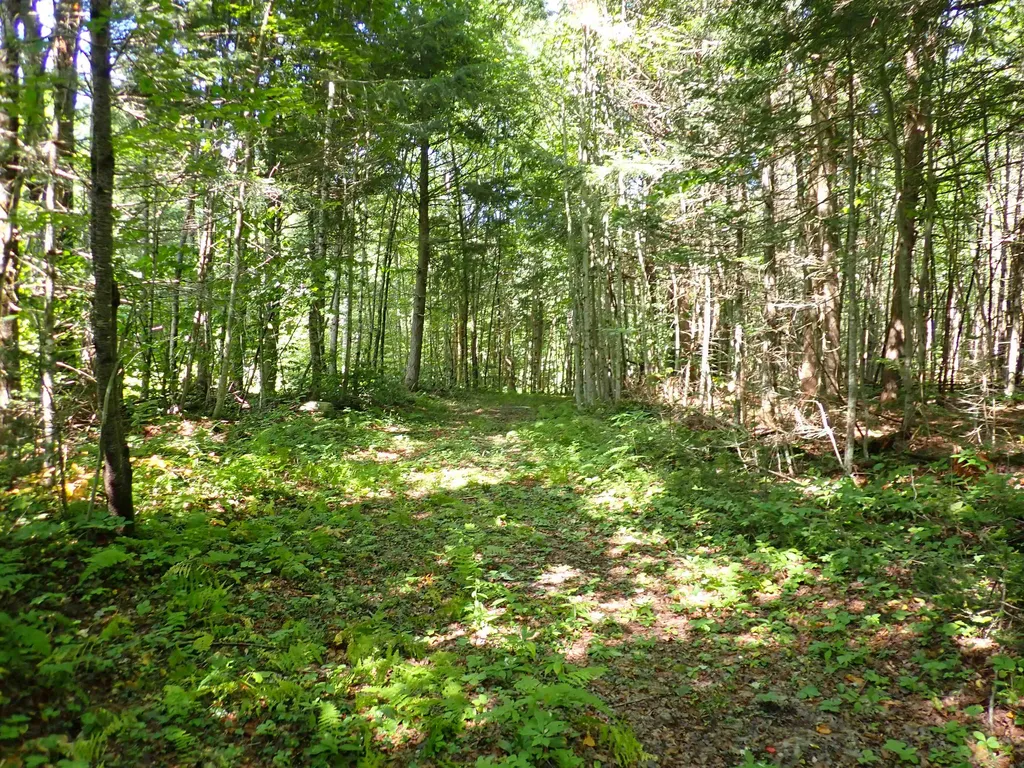 72 Levi Pond Road Groton VT 05046