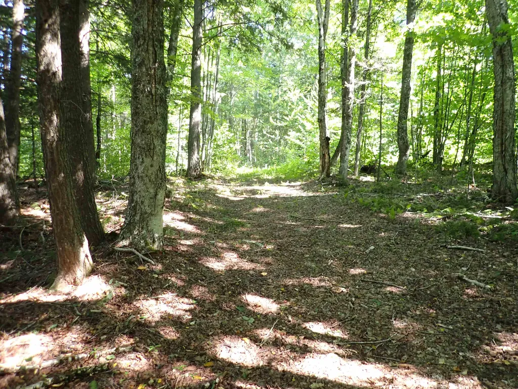 72 Levi Pond Road Groton VT 05046