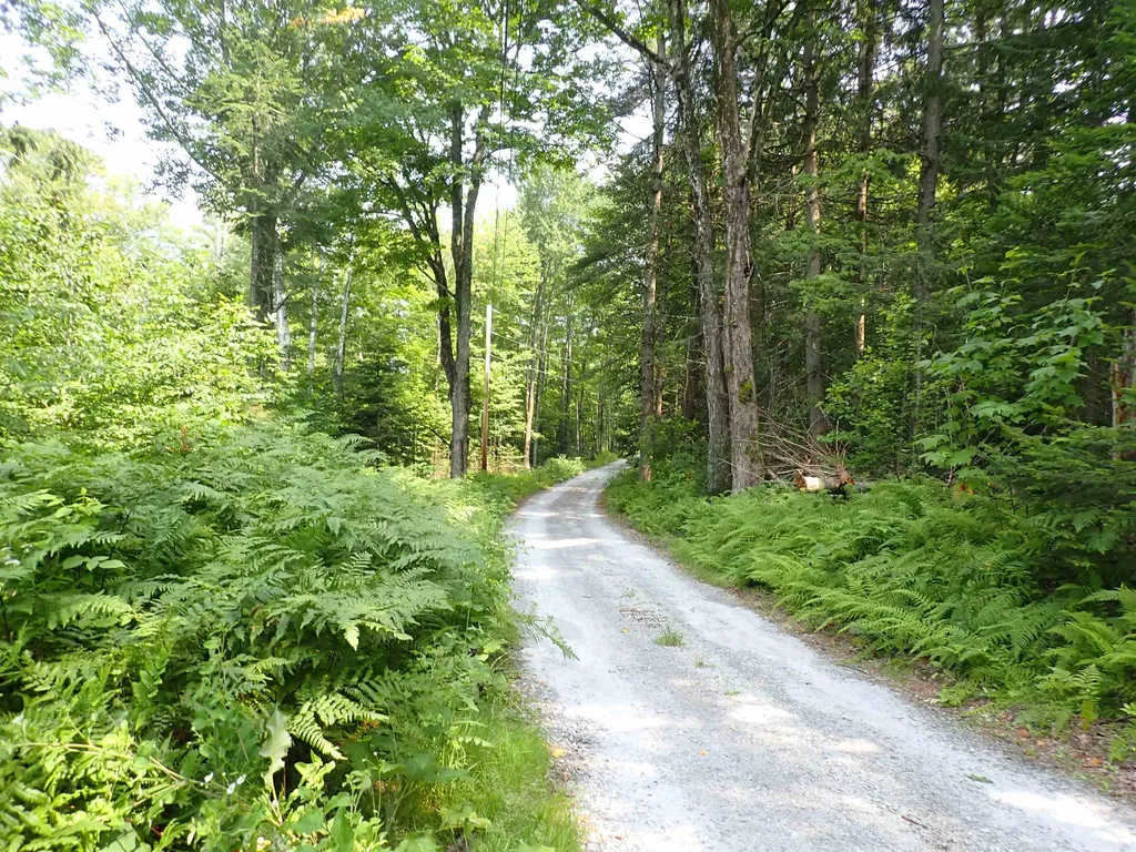 72 Levi Pond Road Groton VT 05046
