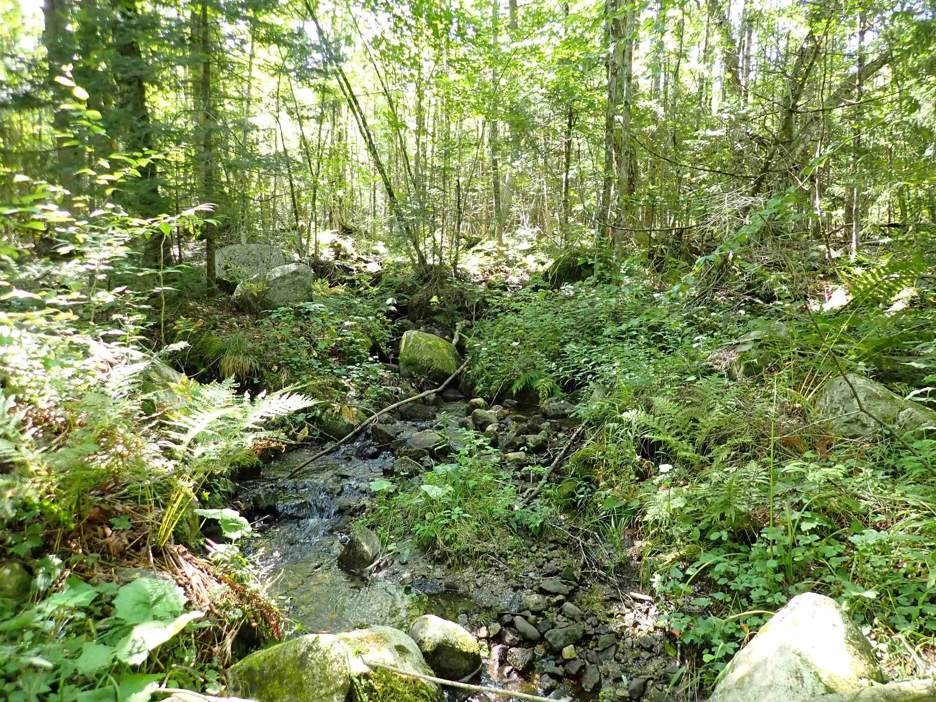 72 Levi Pond Road Groton VT 05046