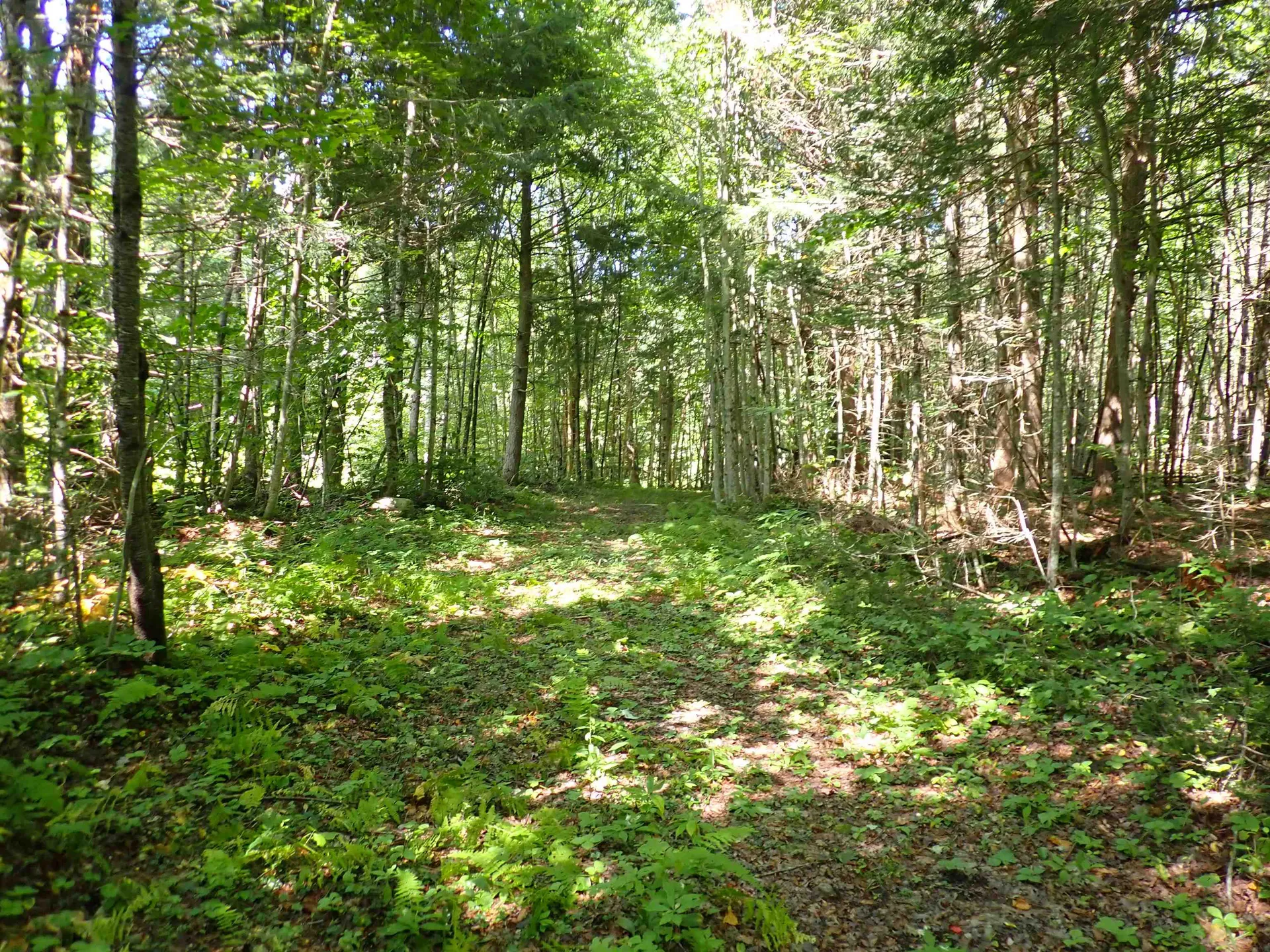 72 Levi Pond Road Groton VT 05046