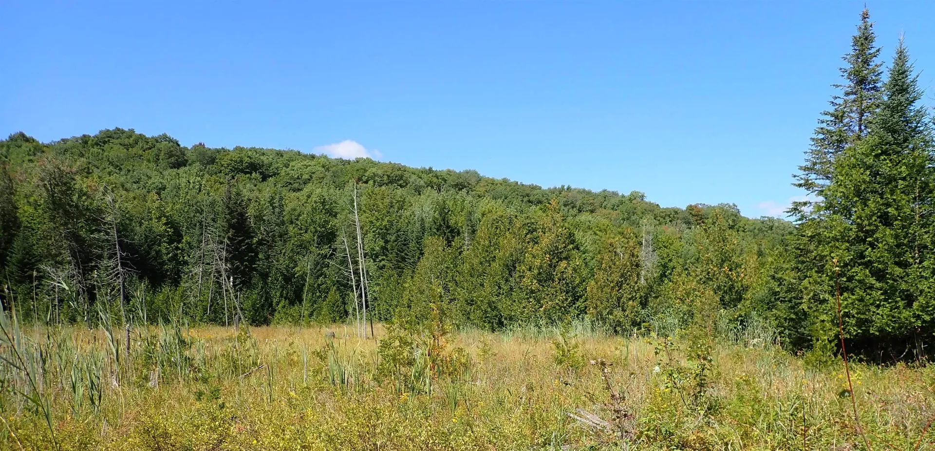 72 Levi Pond Road Groton VT 05046