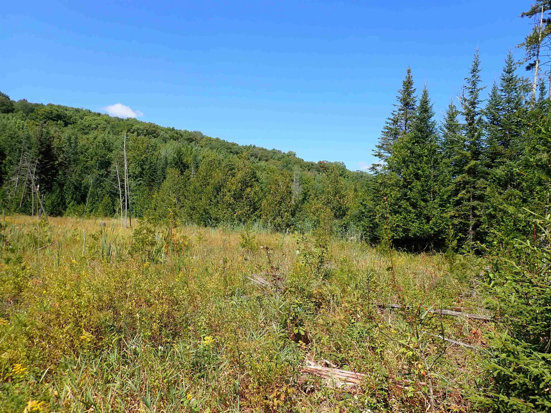 72 Levi Pond Road Groton VT 05046