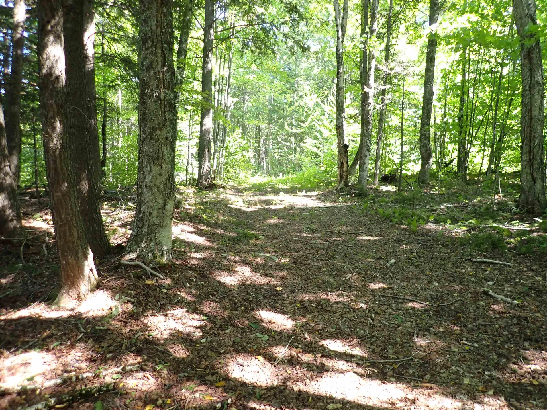 72 Levi Pond Road Groton VT 05046