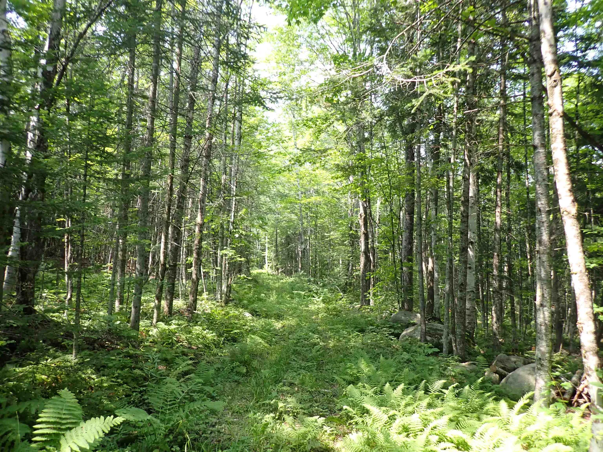 72 Levi Pond Road Groton VT 05046