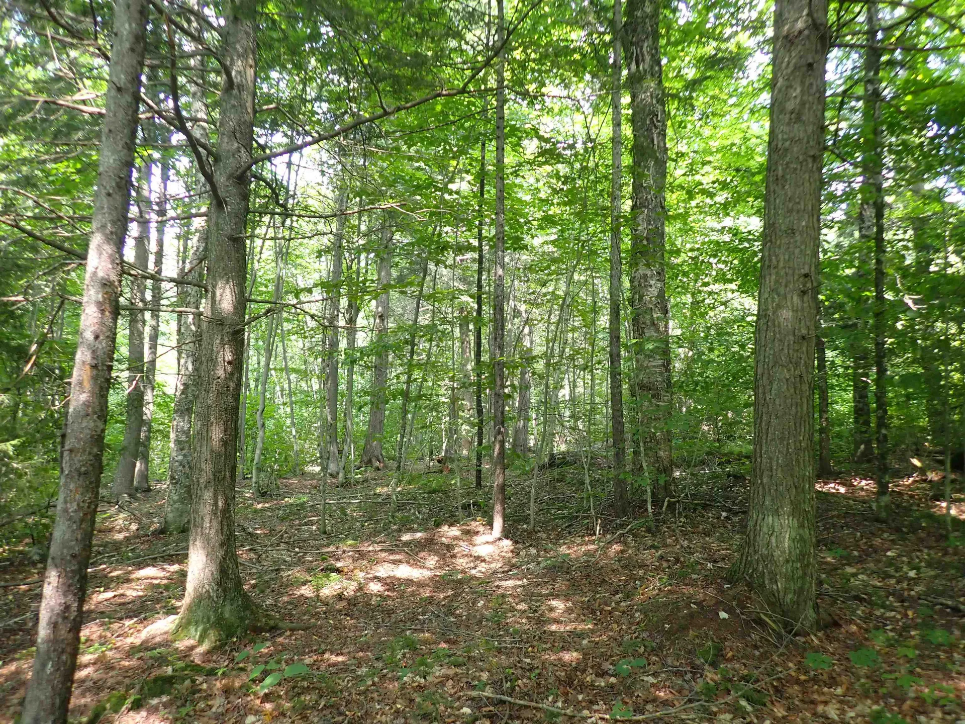 72 Levi Pond Road Groton VT 05046