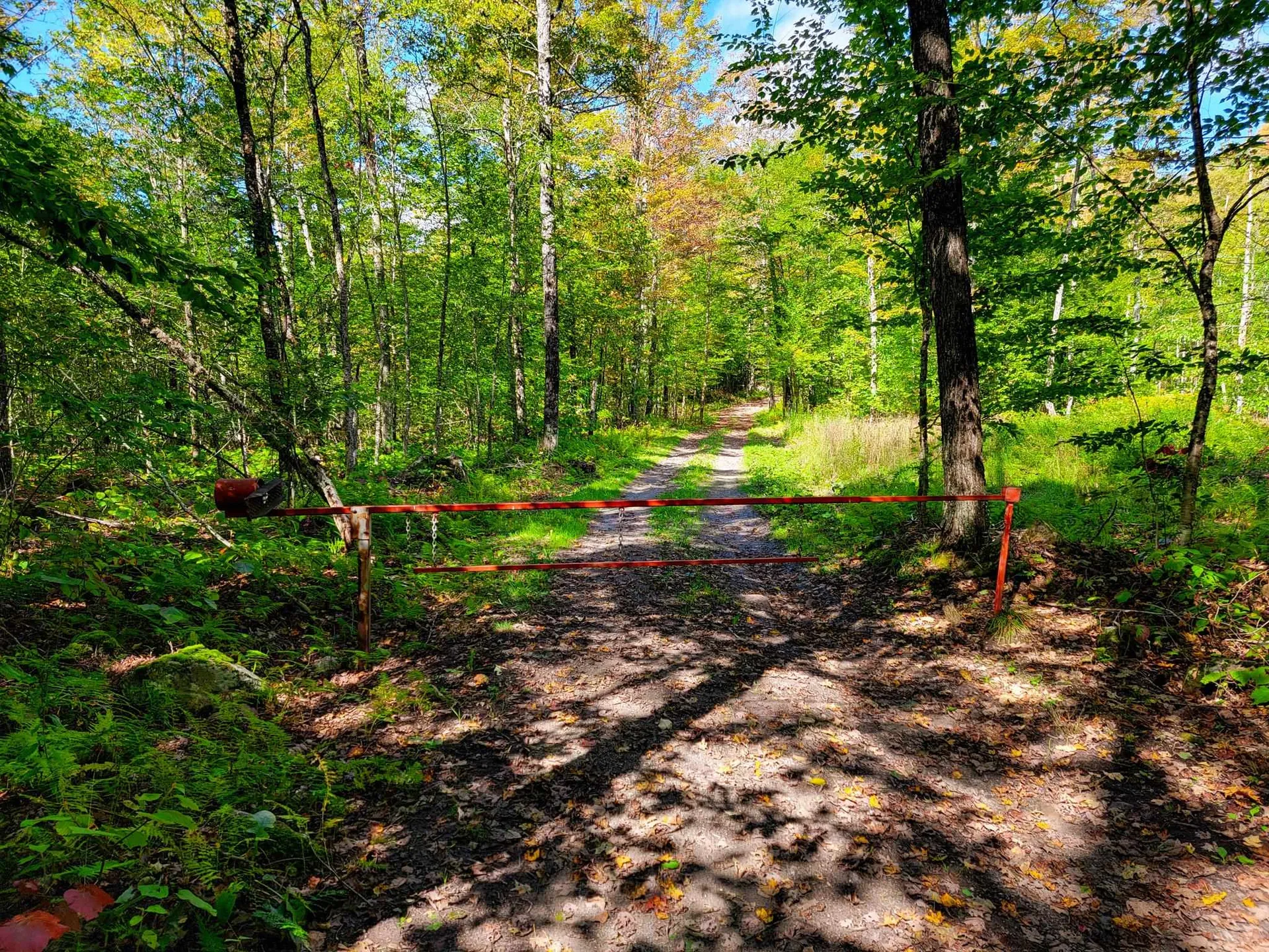 2700 Lanesboro Road Peacham VT 05862