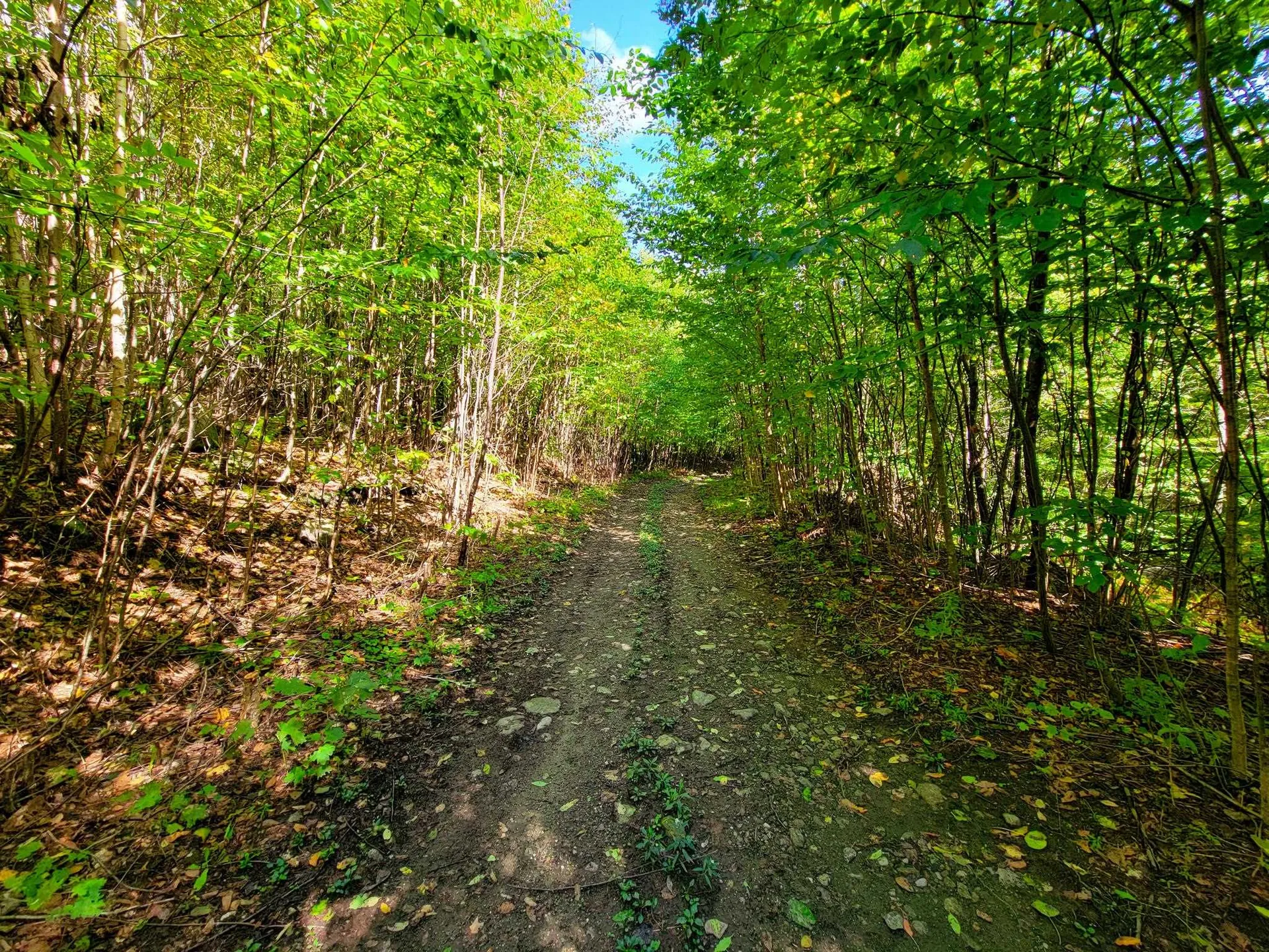 2700 Lanesboro Road Peacham VT 05862