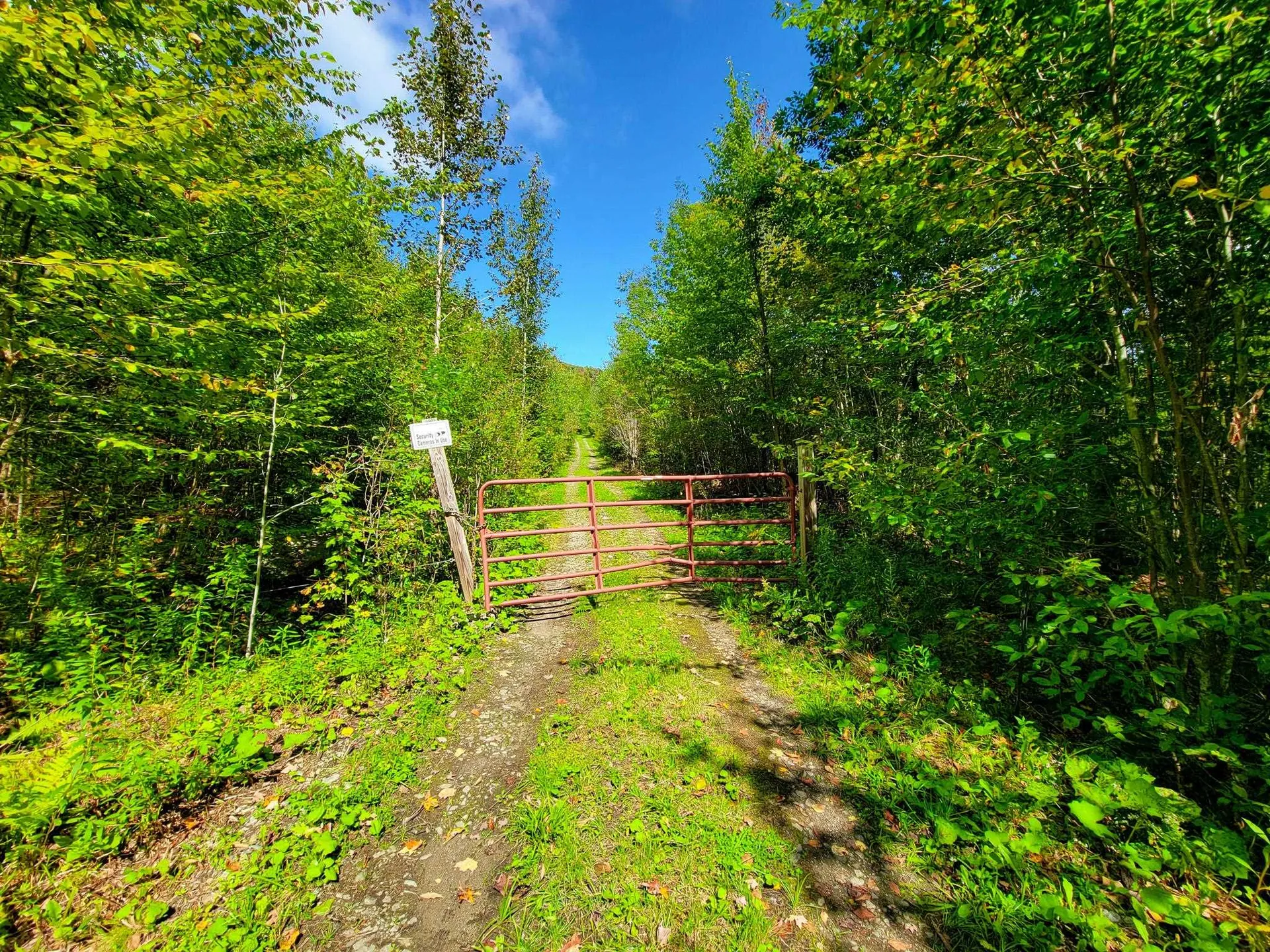 2700 Lanesboro Road Peacham VT 05862