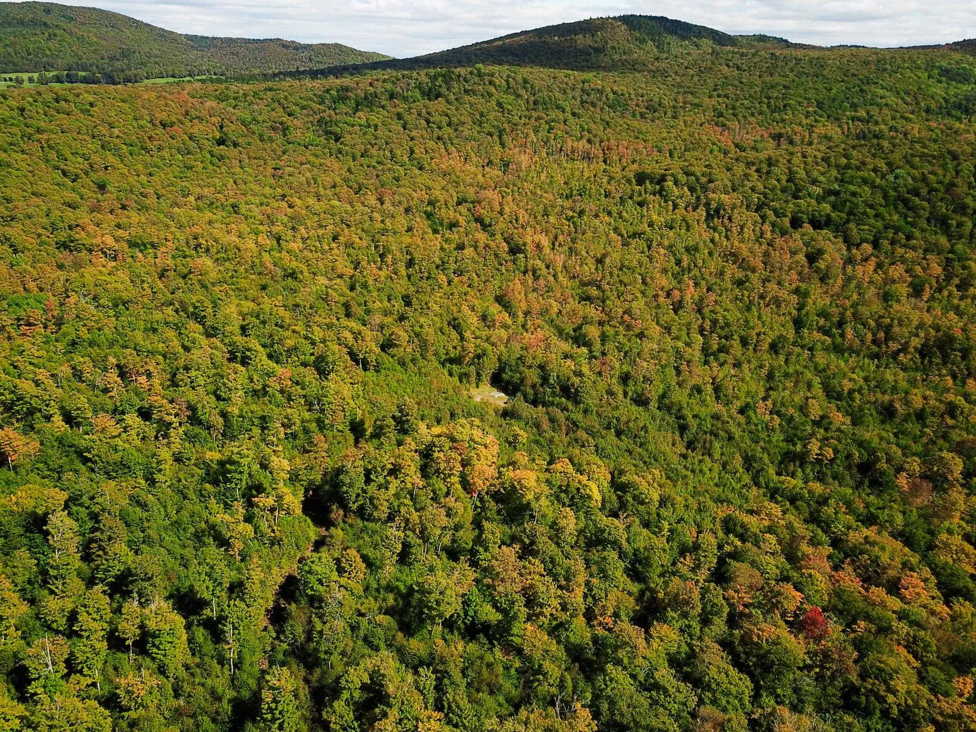2700 Lanesboro Road Peacham VT 05862