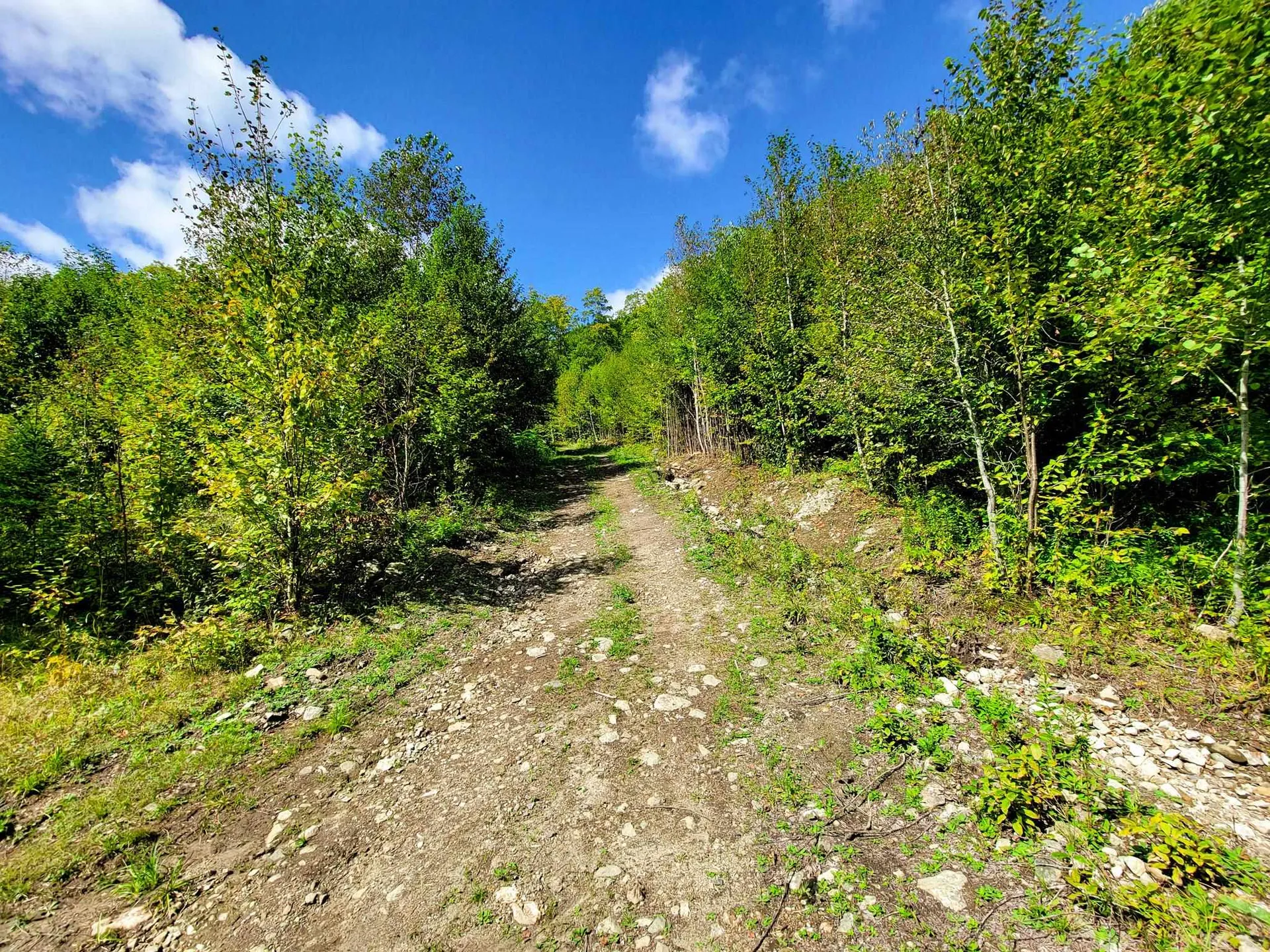 2700 Lanesboro Road Peacham VT 05862