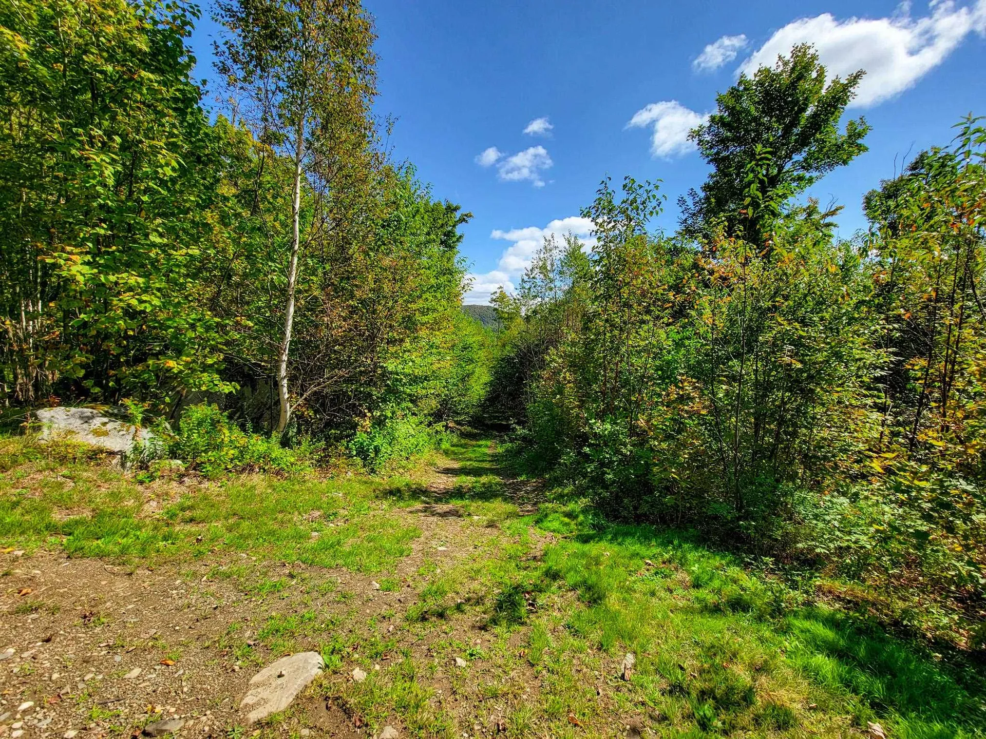 2700 Lanesboro Road Peacham VT 05862