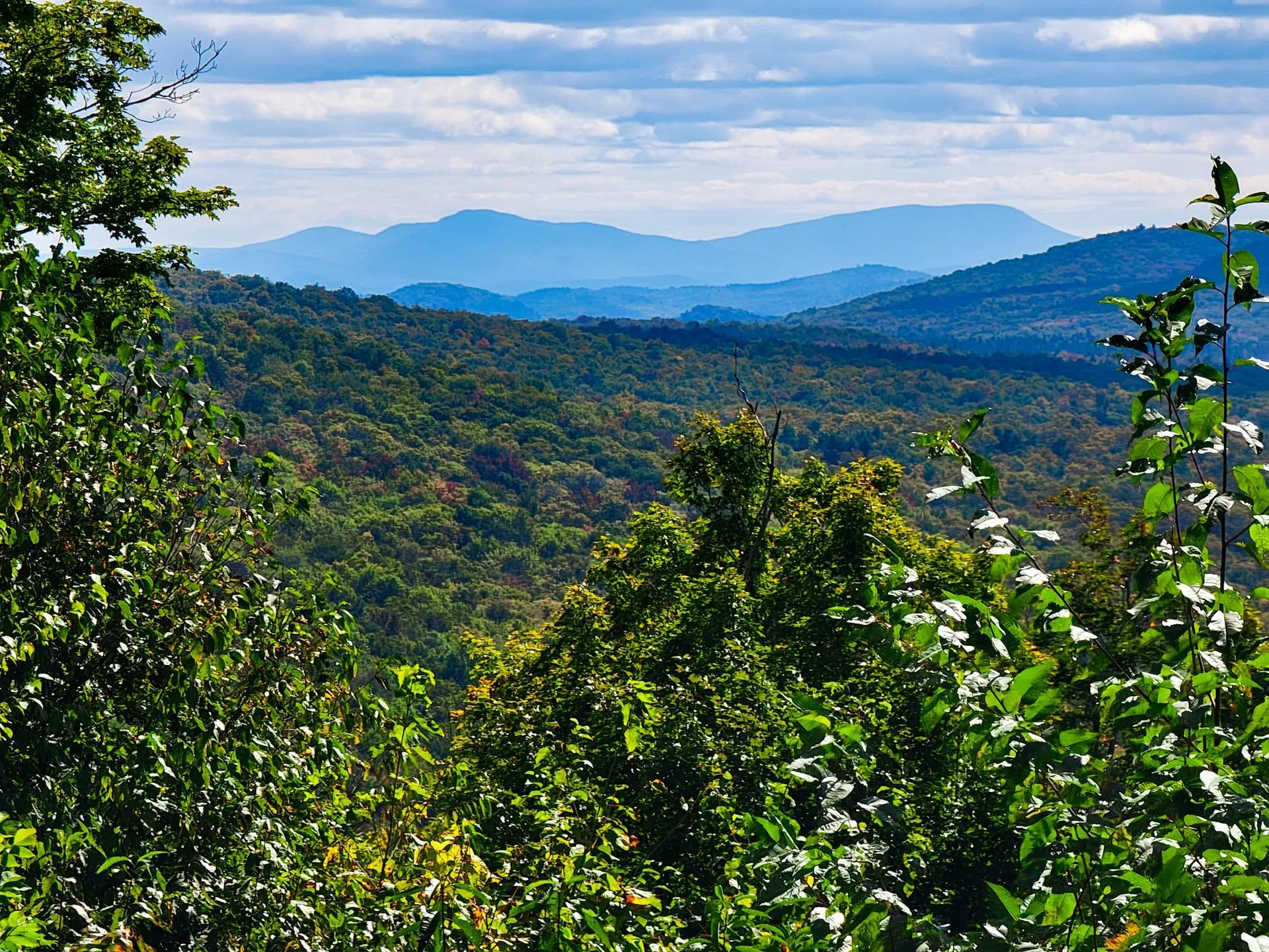 2700 Lanesboro Road Peacham VT 05862