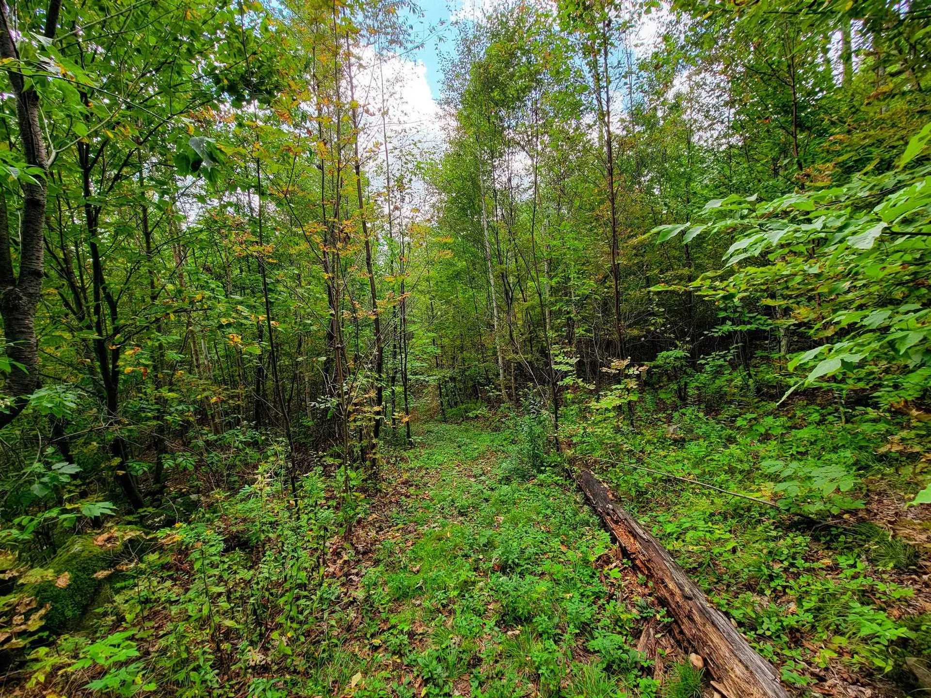 2700 Lanesboro Road Peacham VT 05862