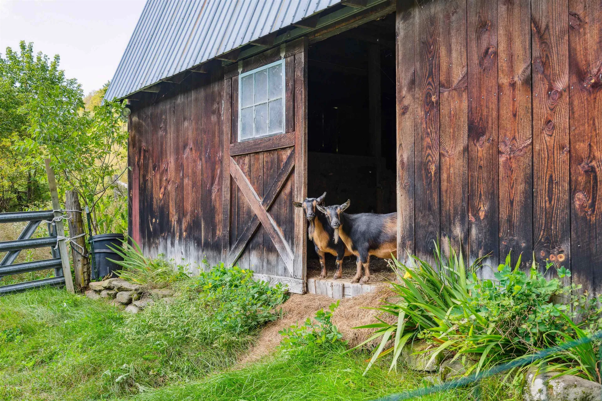 1075 Barber Hill Road Pomfret VT 05091