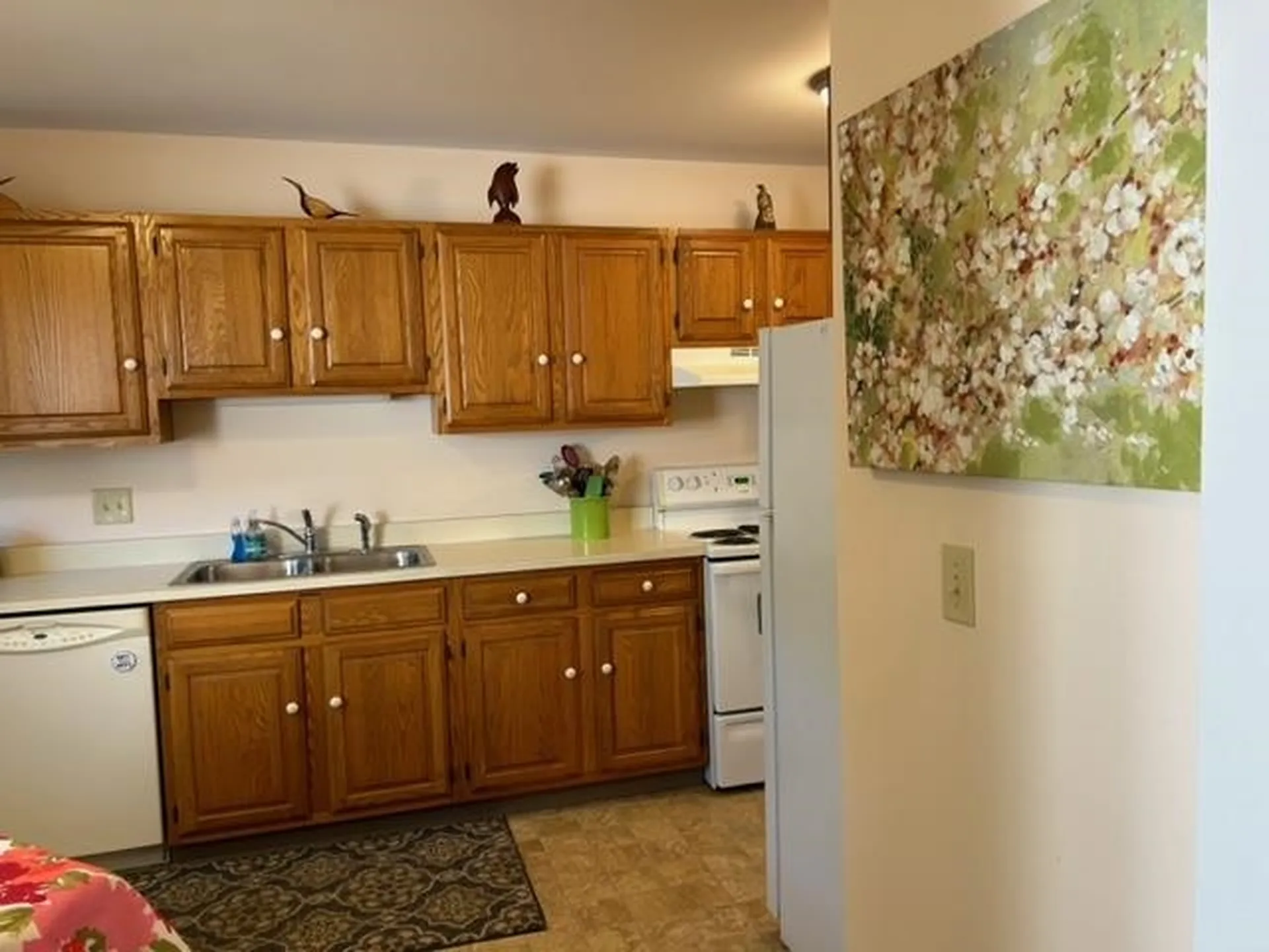 16 Clover Lane Essex VT 05452