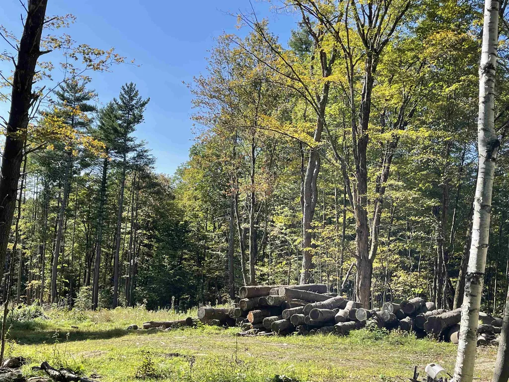 0 Pam's Hill Road Wardsboro VT 05355