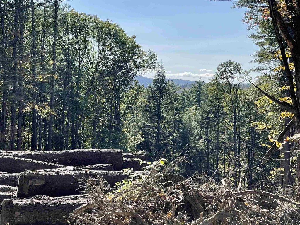 0 Pam's Hill Road Wardsboro VT 05355