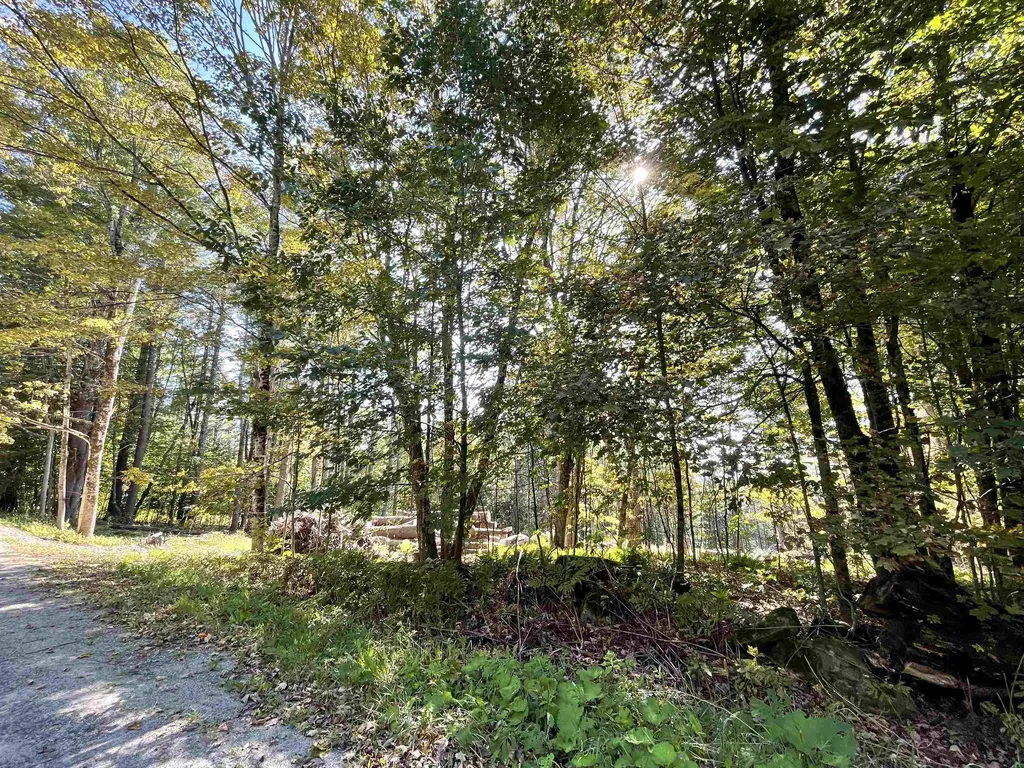 0 Pam's Hill Road Wardsboro VT 05355