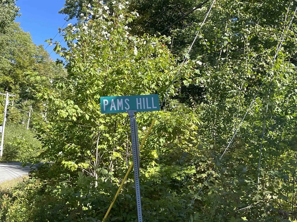 0 Pam's Hill Road Wardsboro VT 05355