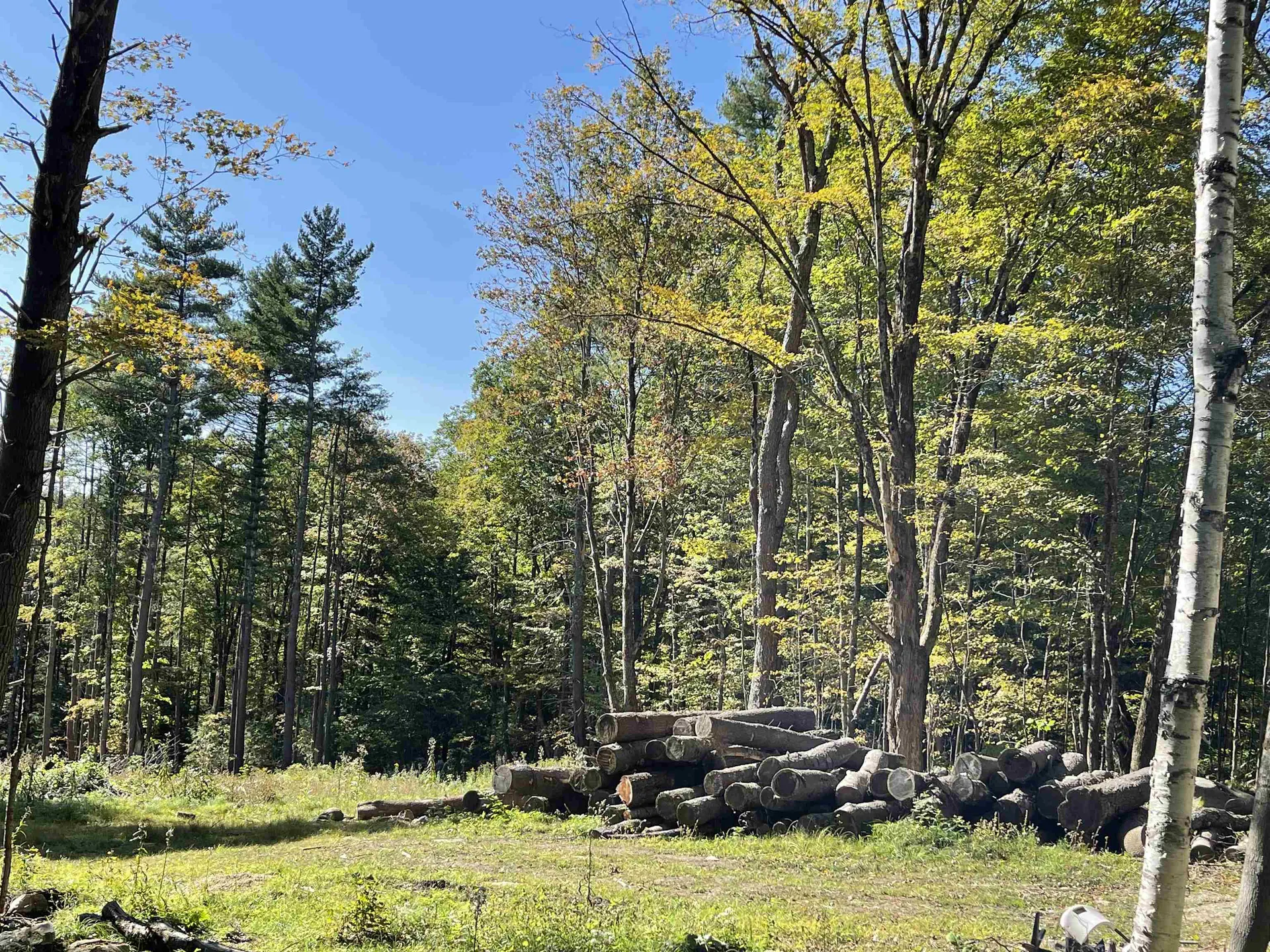 0 Pam's Hill Road Wardsboro VT 05355