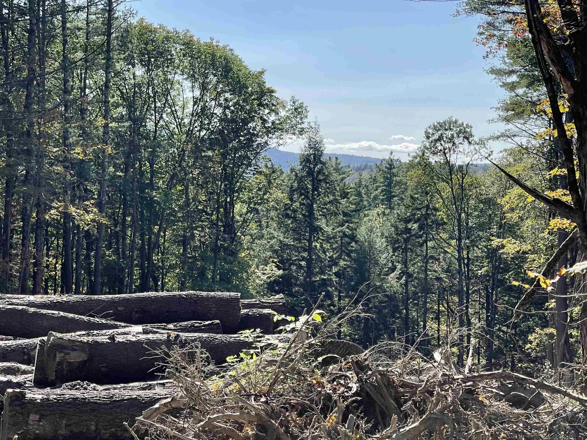 0 Pam's Hill Road Wardsboro VT 05355