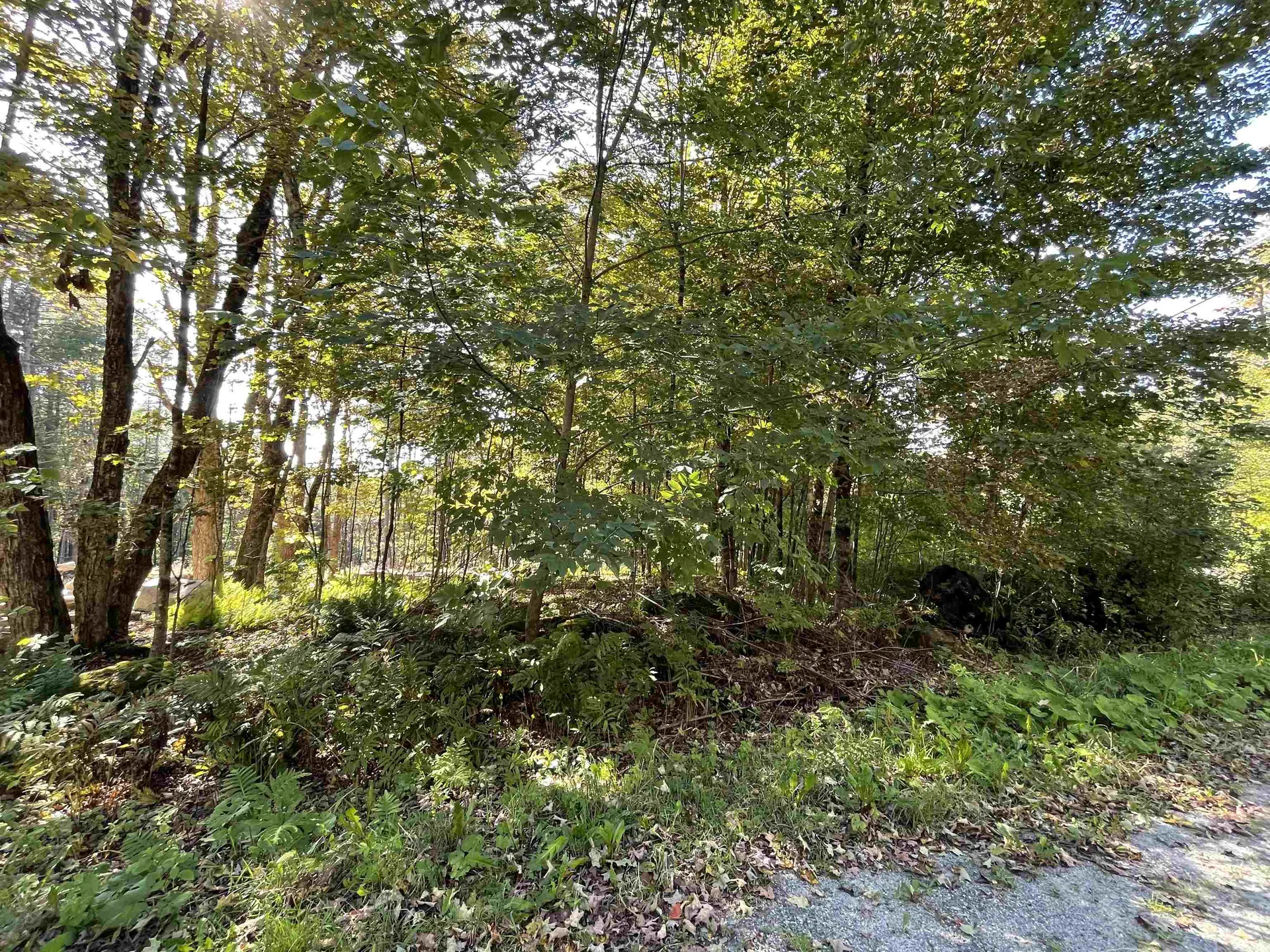 0 Pam's Hill Road Wardsboro VT 05355