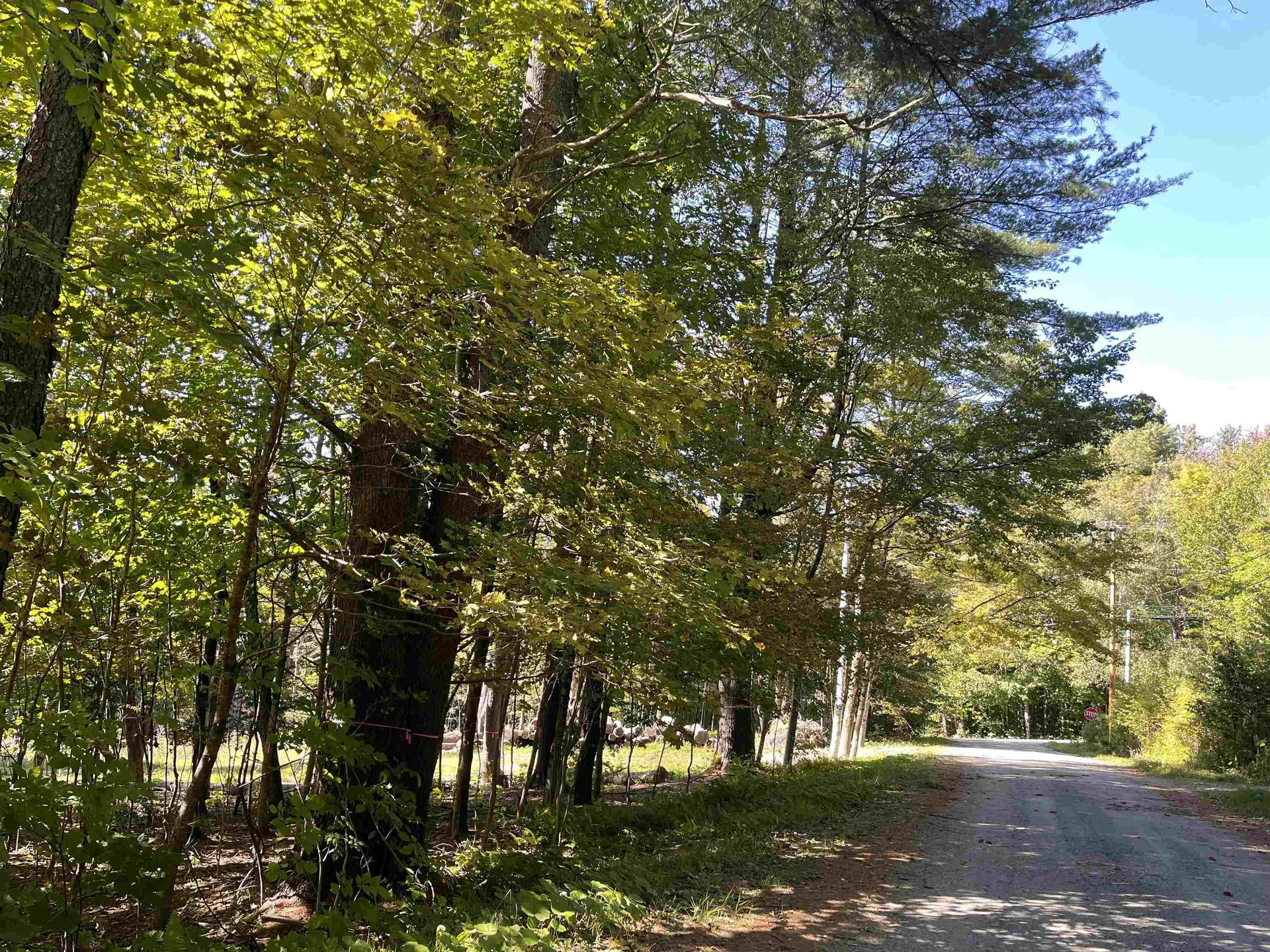 0 Pam's Hill Road Wardsboro VT 05355