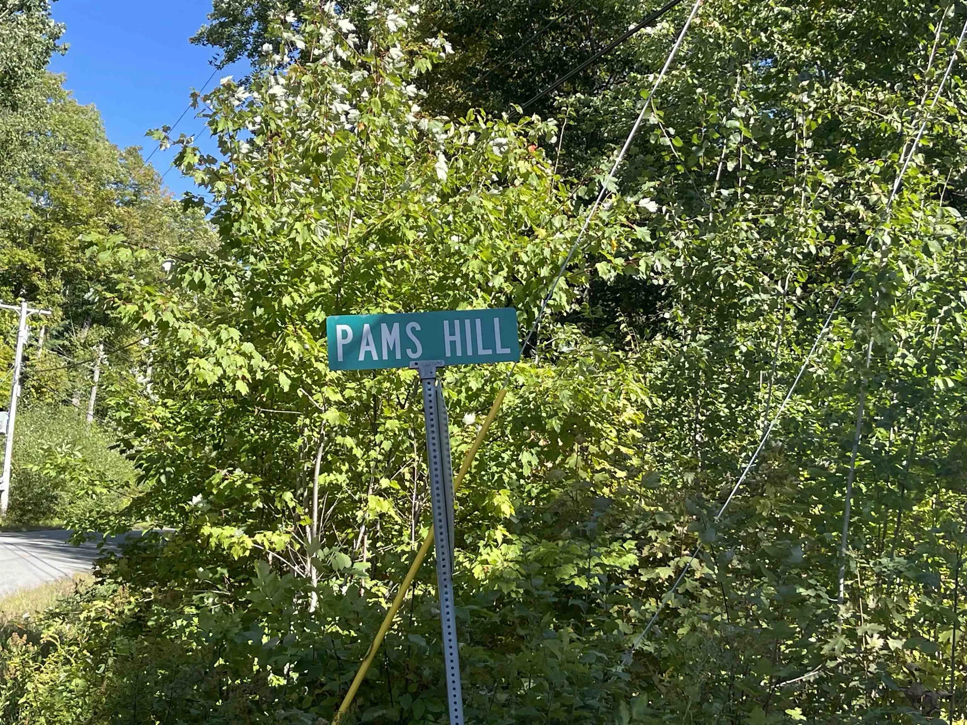 0 Pam's Hill Road Wardsboro VT 05355