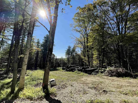 0 Pam's Hill Road Wardsboro VT 05355