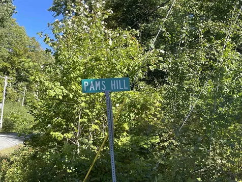 0 Pam's Hill Road Wardsboro VT 05355