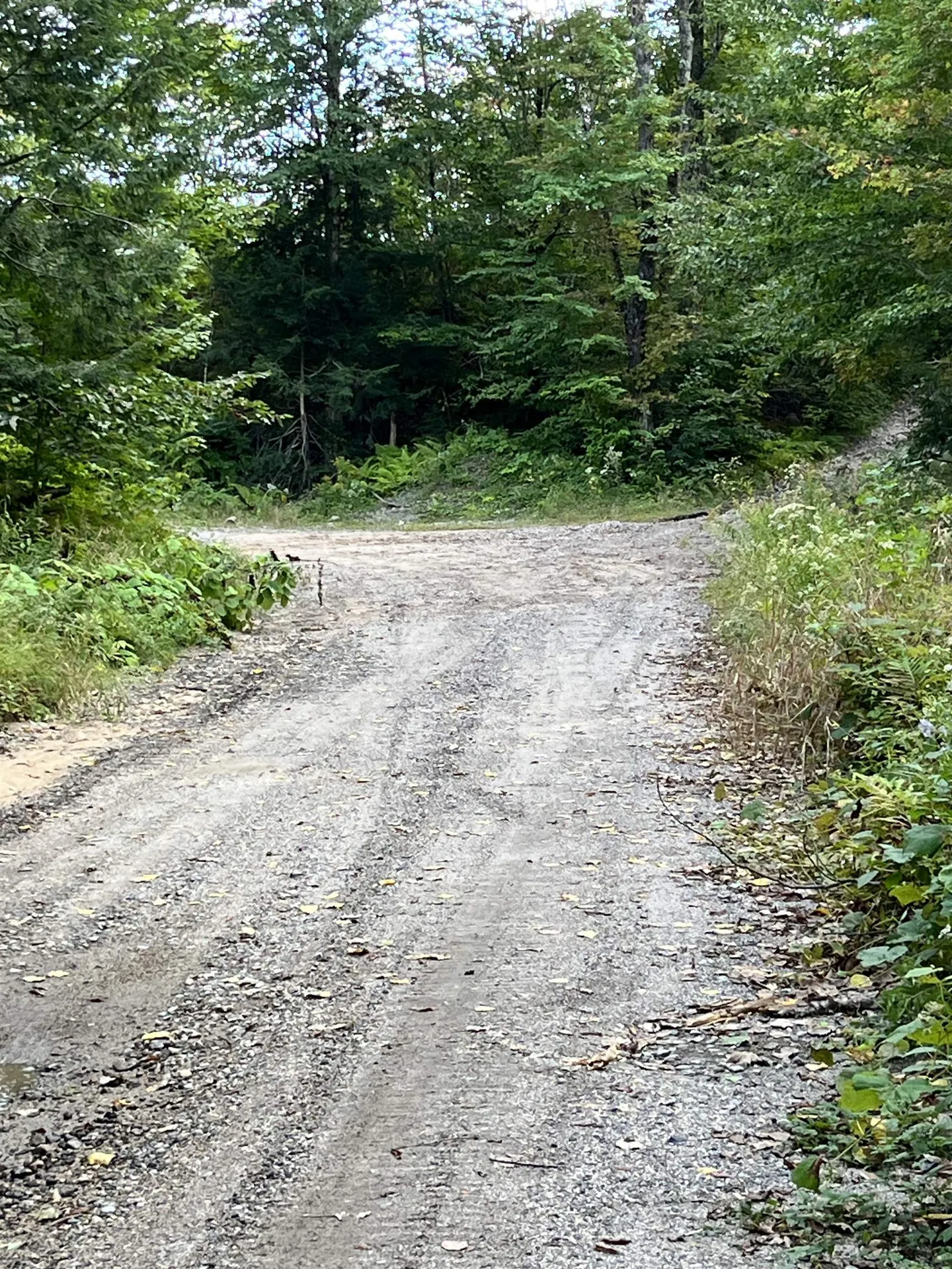 16 Polly's Crossing Road Ossipee NH 03864