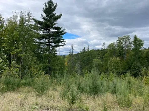 00 Libby Road St. Johnsbury VT 05819