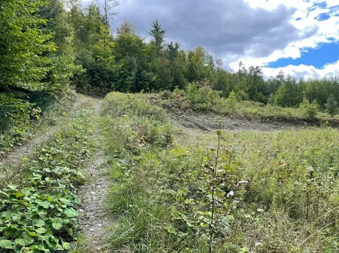 00 Libby Road St. Johnsbury VT 05819