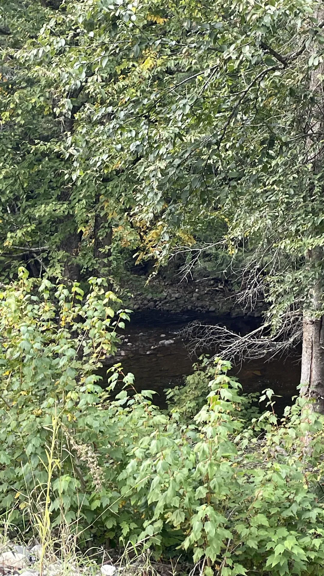 0 Us Route 3 Columbia NH 03590