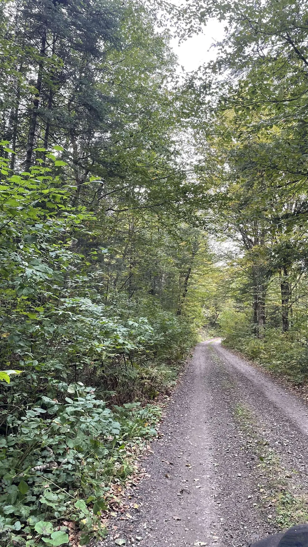 0 Us Route 3 Columbia NH 03590