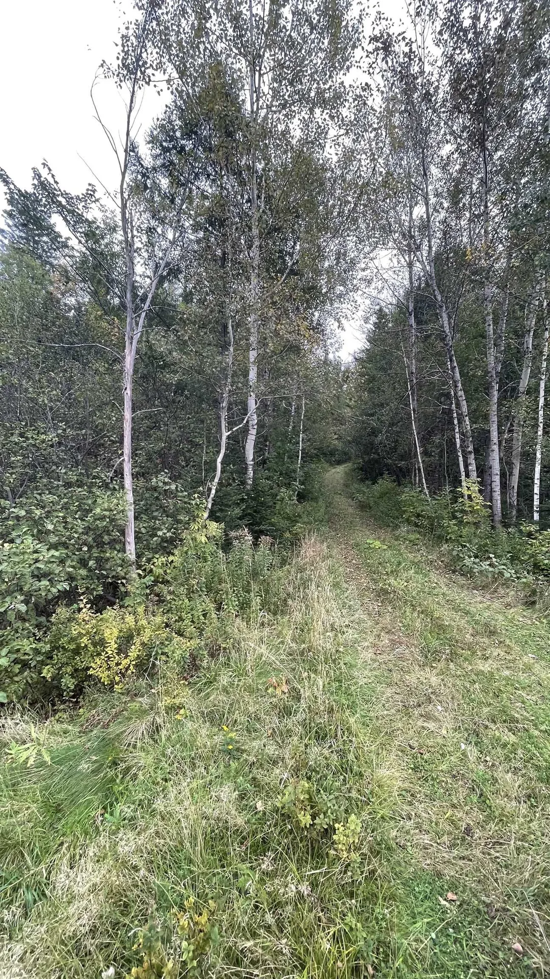 0 Us Route 3 Columbia NH 03590