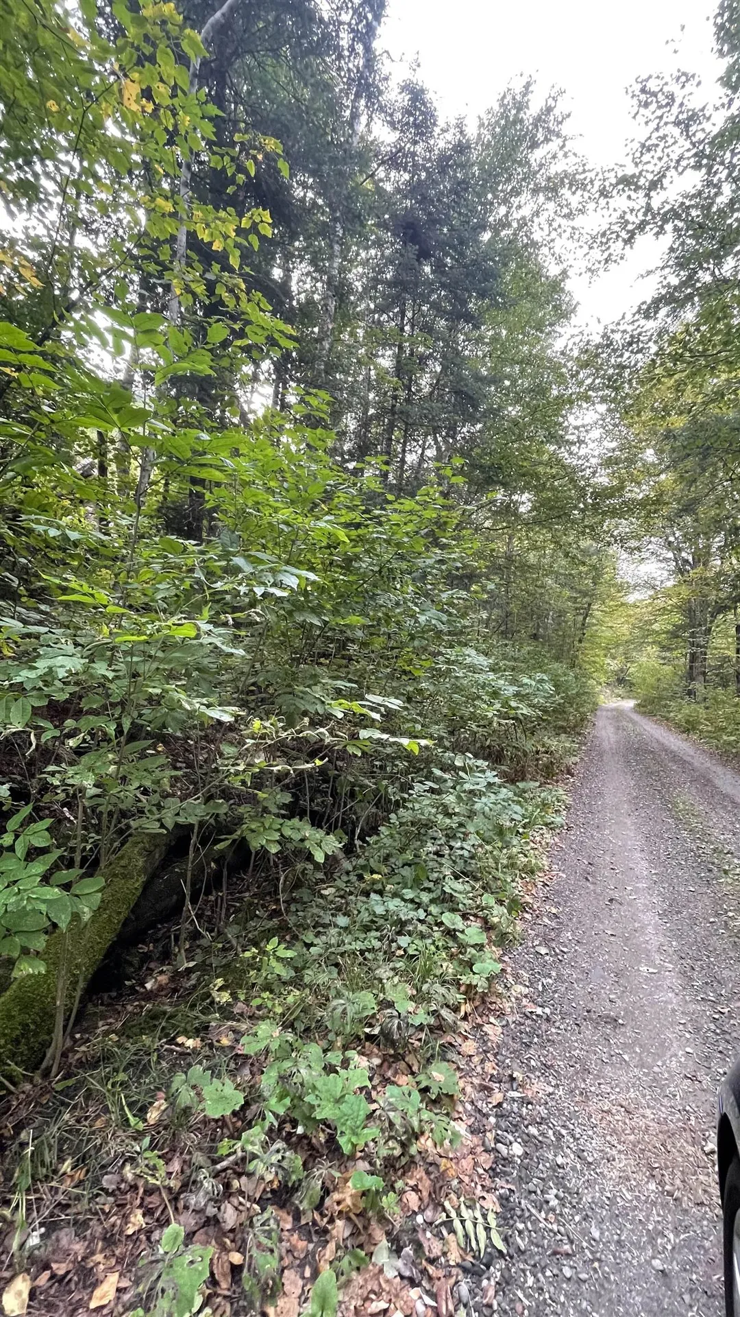 0 Us Route 3 Columbia NH 03590