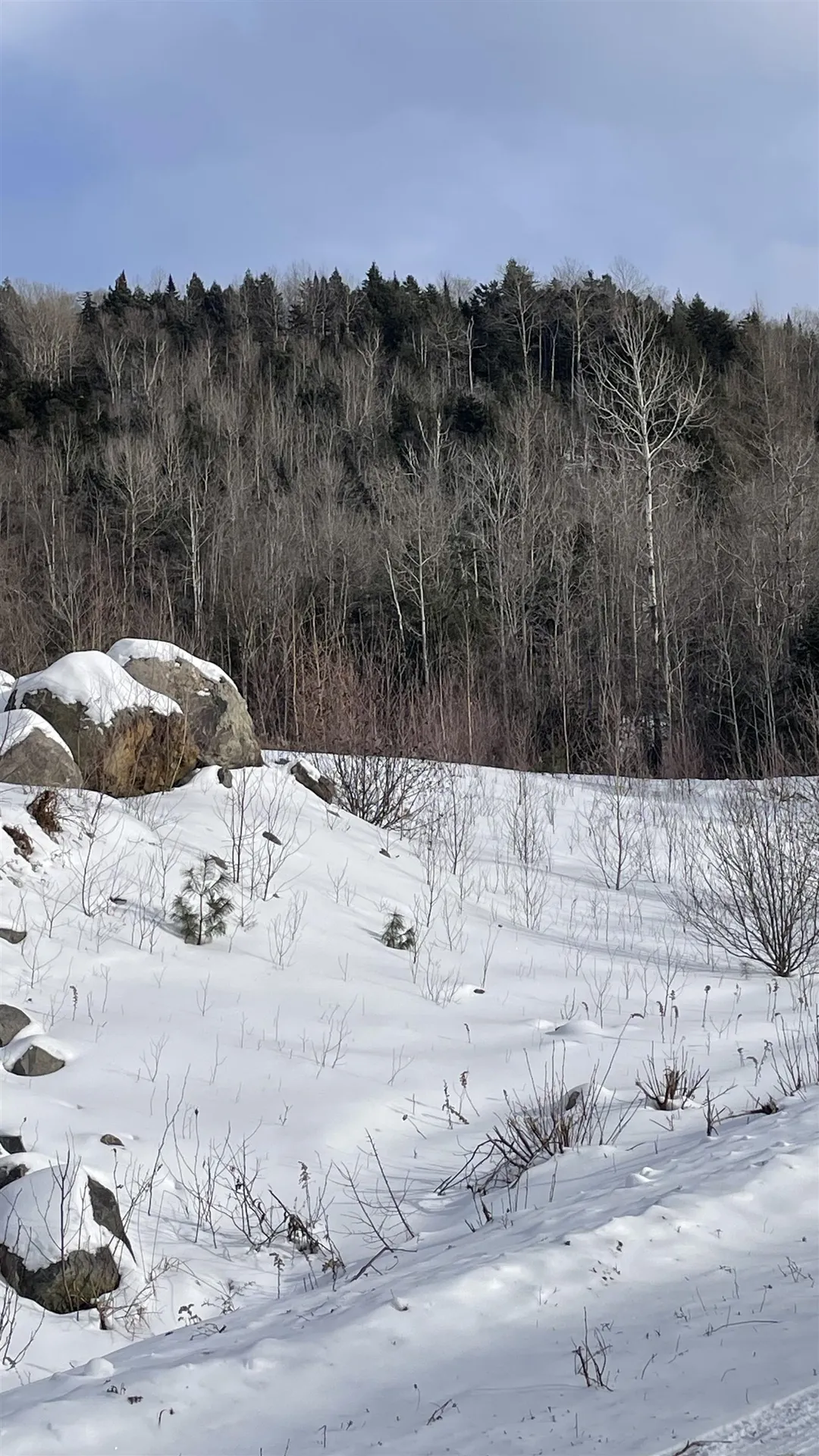 0 Us Route 3 Columbia NH 03590