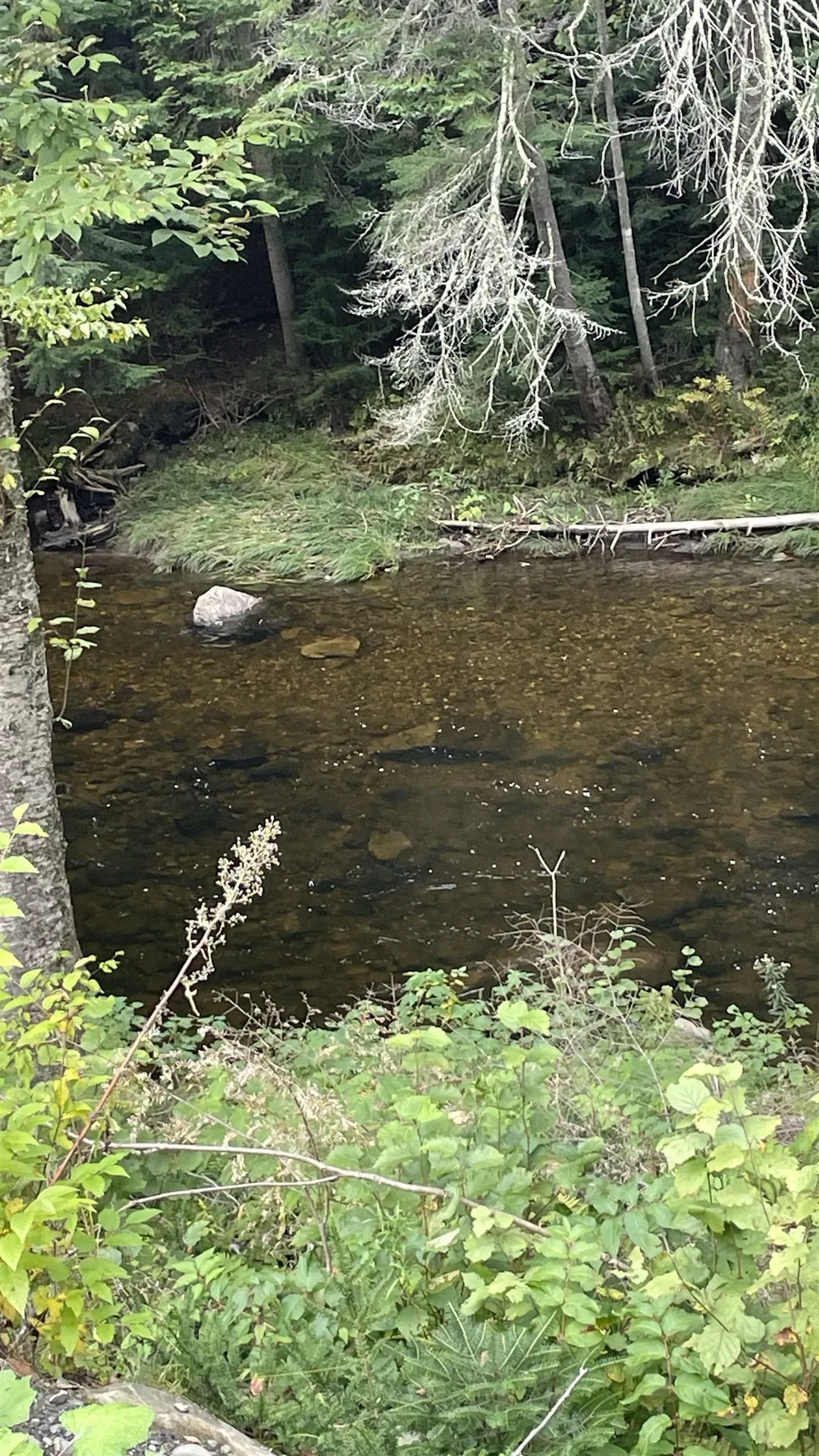 0 Us Route 3 Columbia NH 03590