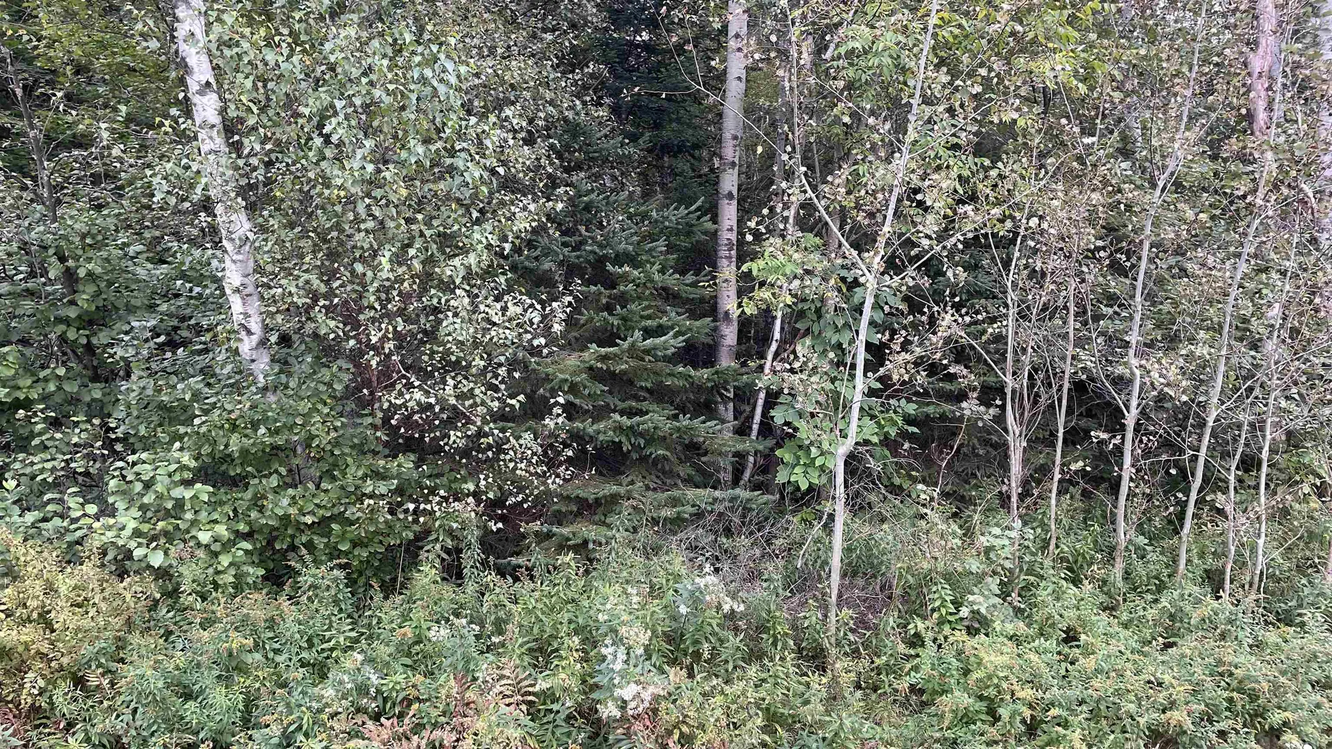 0 Us Route 3 Columbia NH 03590