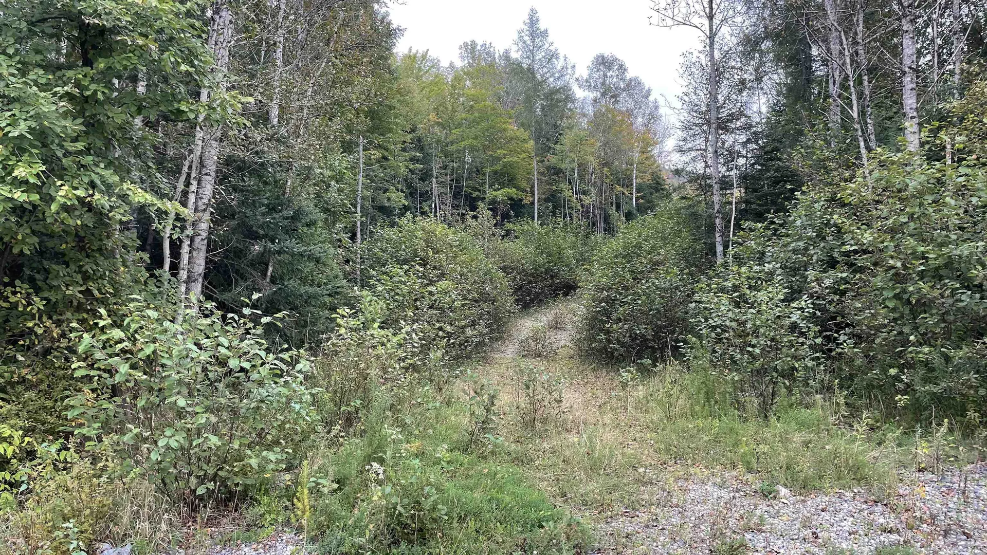 0 Us Route 3 Columbia NH 03590