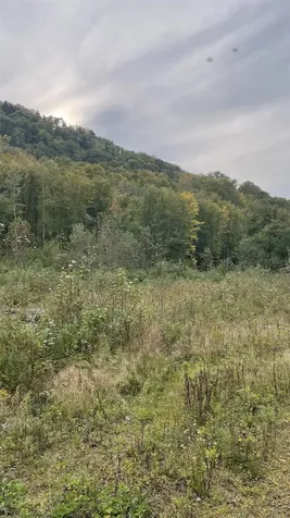 0 Us Route 3 Columbia NH 03590