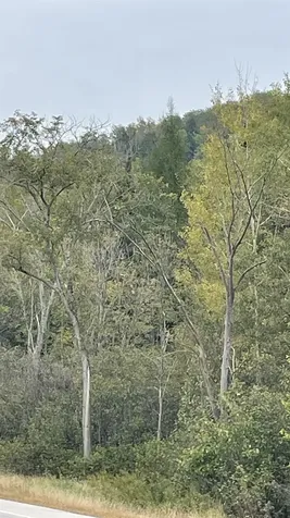 0 Us Route 3 Columbia NH 03590